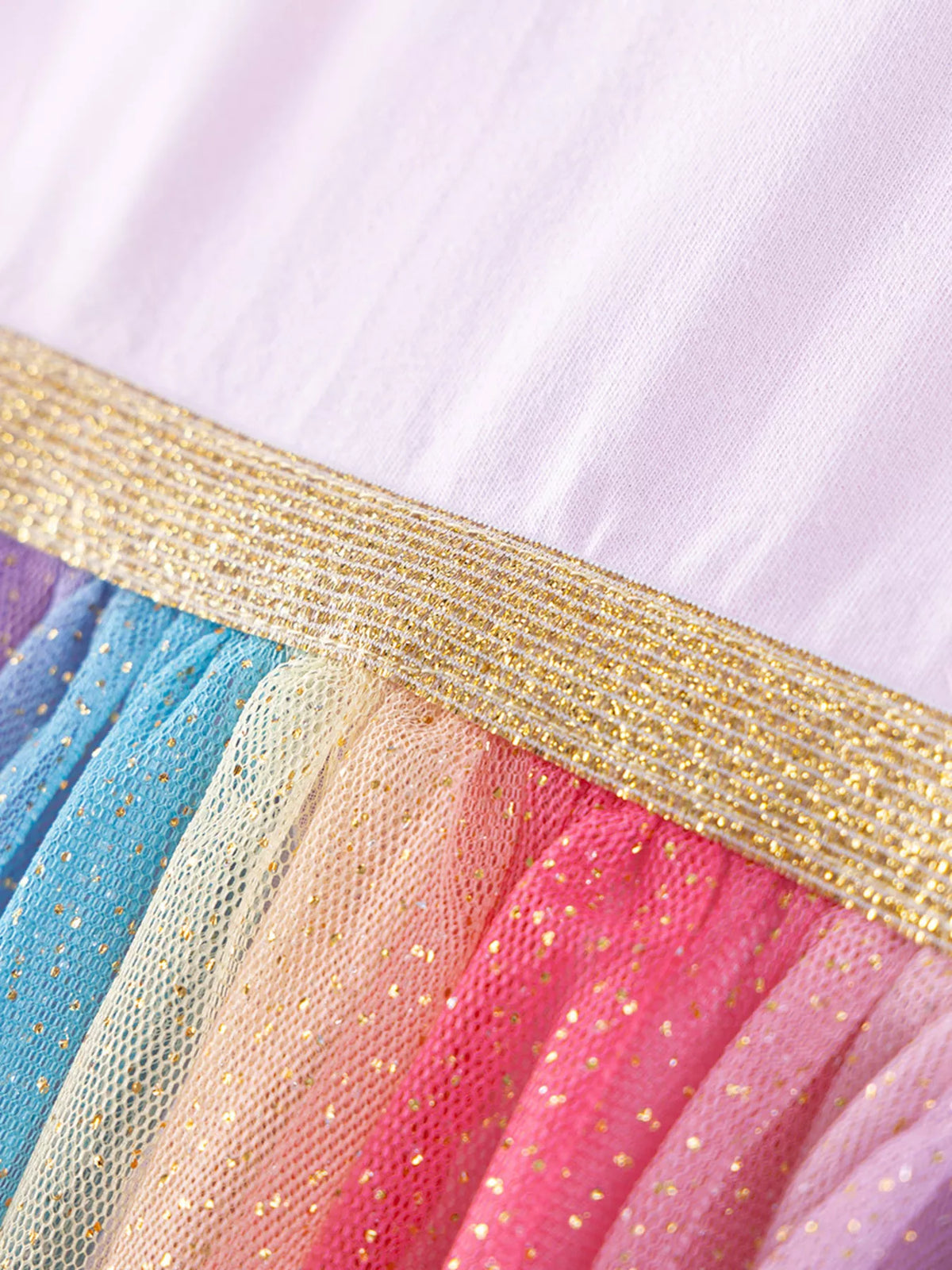 Gold waistband above rainbow tulle panels