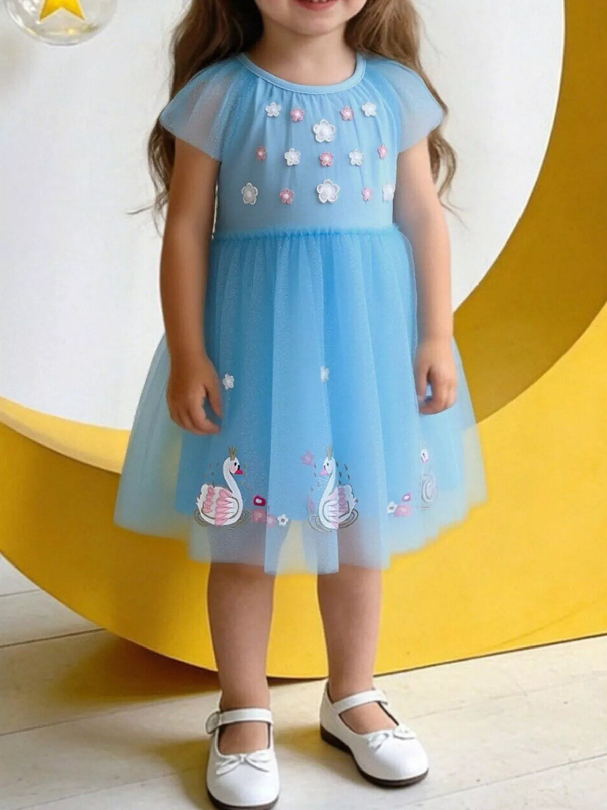 Blue Swan Embroidered Tulle Dress — dress worn by a child