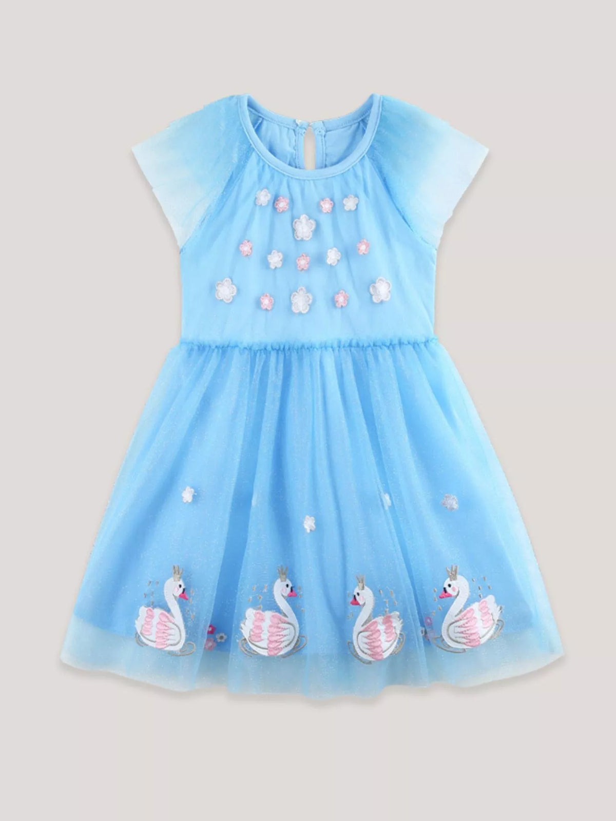 Blue Swan Embroidered Tulle Dress — front view