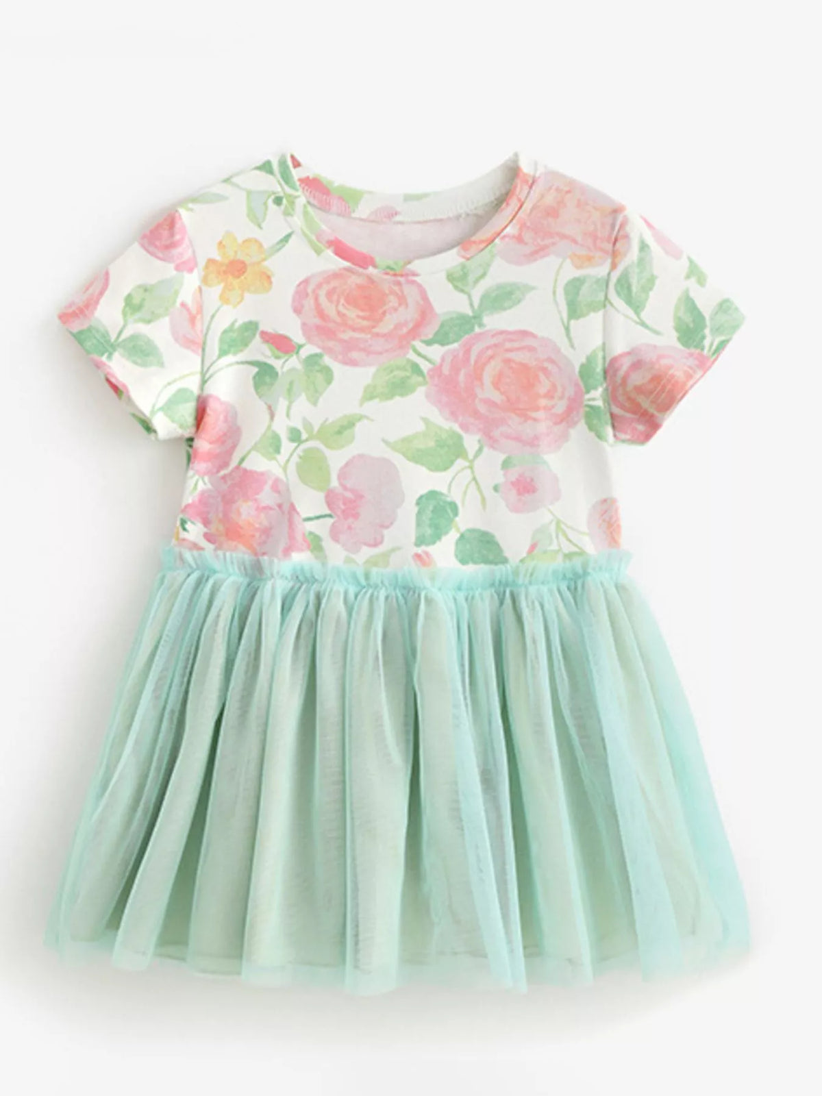 Rose Print Sage Tulle Dress — front view