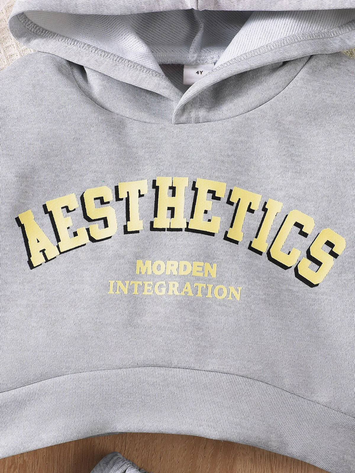 Gray color block letter hoodie and skirt set — hood and aesthetics lettering