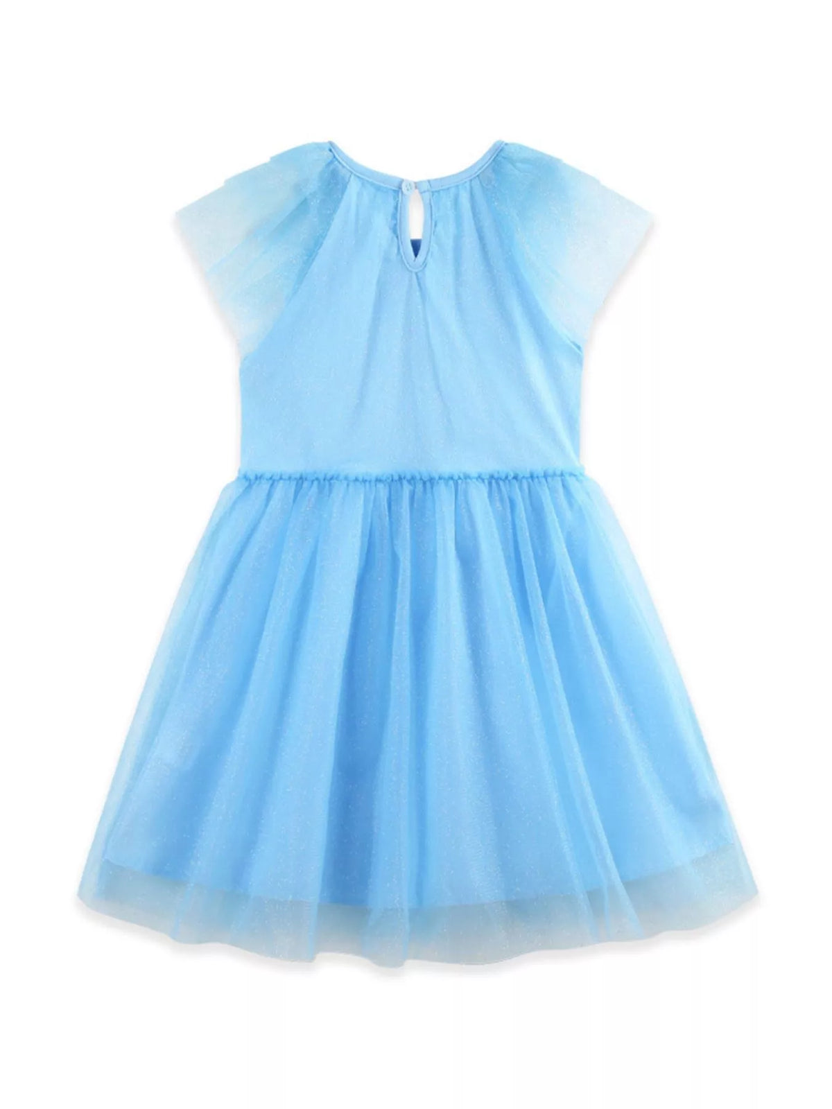 Blue Swan Embroidered Tulle Dress — back view